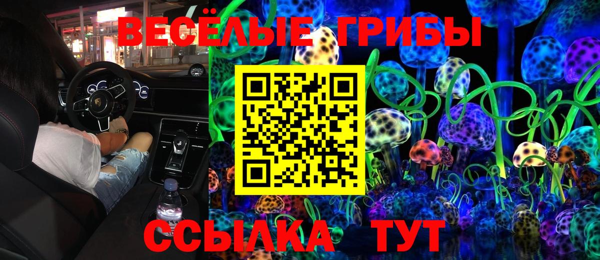 где купить   Вход с VPN  Псилоцибиновые грибы ЛСД  Электросталь  Галлюциногенные грибы прущие грибы 