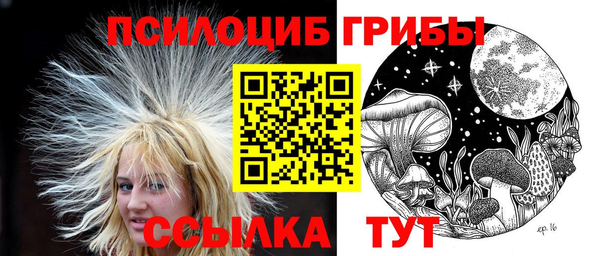 Псилоцибиновые грибы Psilocybine cubensis Электросталь